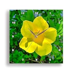 3 d Rose DPP 25264 1 Sunbeam Pretty Wall Clock, 10 by 10 Inch 3 d Rose DPP 25264 1 Sunbeam Pretty Wall Clock, 10 by 10 Inch product image