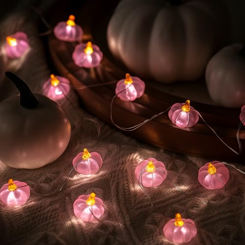 Glooglitter 2 Pcs Fall Thanksgiving String Lights...
