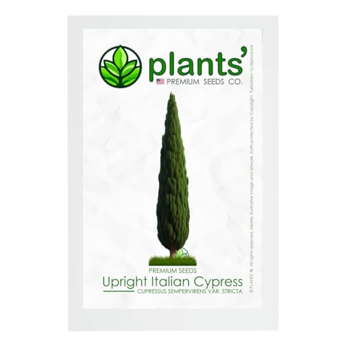 Upright Italian Cypress Tree | Premium Seeds | Cupressus sempervirens 'Stricta' | Plants'&reg; (Premium...