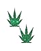 Pastease Ganja Weed Pasties (Glitter Green)