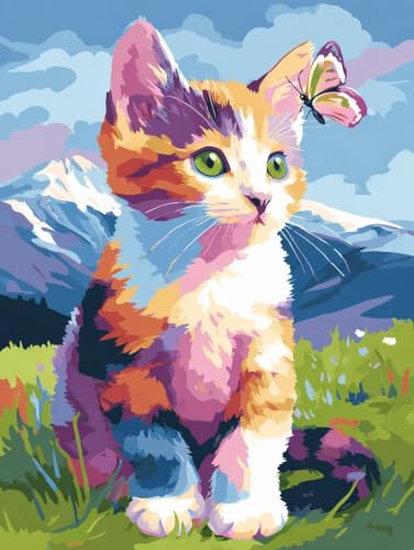 Pintar por números adultos sin experiencia pintura acrílica abstracta para reducir el estrés