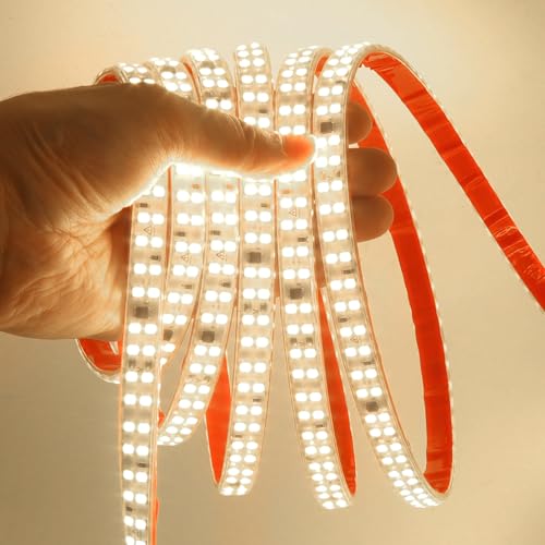 KISUFU Striscia LED SMD 2835, 220V 240 Led/m Striscia LED, IP65 impermeabile biadesivo 10cm può essere tagliato Striscia luminosa a LED per le vacanze fai da te decorazione esterna