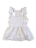 QWINEE Lace Trim Dog Dress Apparel Cherry Print Cat Puppy Skirts Cute Pet Tutu Breathable Summer Birthday Holiday Dress for Small Medium Dogs Cats Kitten White XS