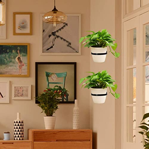 TORO Plant Holder Ring 8 Inch Wall Mounted, Flower Pot Hangers Metal Plant Stand Hanging Bracket Basket Hooks (Pack 06) (Black)