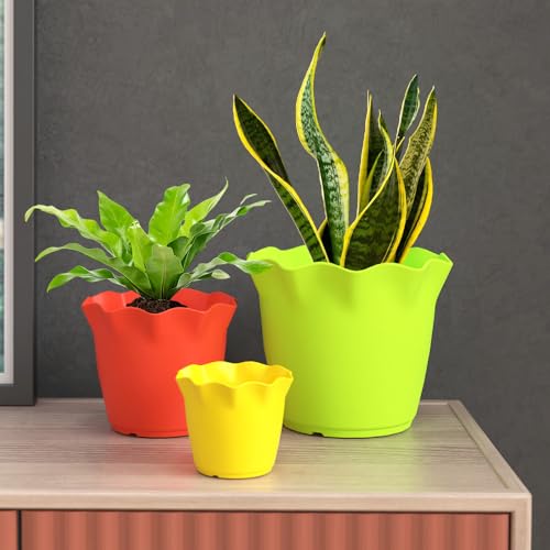 Image of YUCCABE ITALIA SHERA 4 Inch Plastic Flower Pot 12 Piece Set of Unbreakable Round Shape Planter for Home Garden Seedling, Indoor and Outdoor (Yellow)
