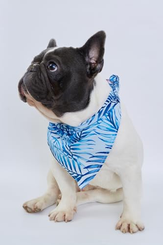 Image of Hawaii Hangover Family Matching Hawaiian Clothes, Simply Blue Leaves | Family matching Hawaiian outfits, Simply Blue Leaves, lightweight rayon, machine washable, tropical leaf print, luaus