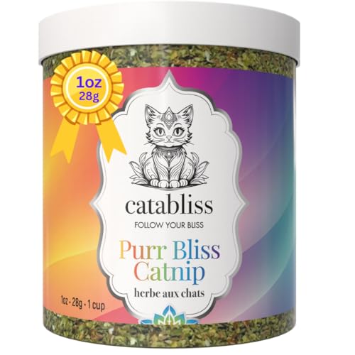 catabliss Catnip for Cats – 1oz Jar - 100% Essential Natural Cat Nip Herb Resealable Jar - Fresh Aroma Stimulates Activity & Enhancing Play for Indoor Cats - Great for Cat Nip Toys, Play & Training
