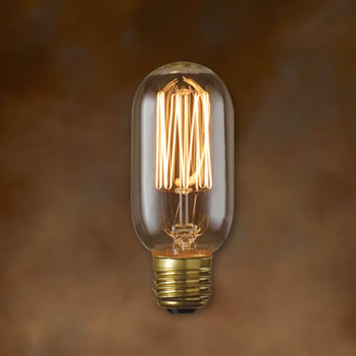 Bulbrite Incandescent T14 Medium Screw Base (E26) Light Bulb, 1 Count (Pack Of 1), Antique #TOP1
