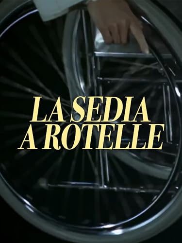  La sedia a rotelle