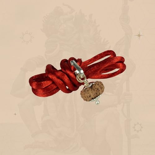 Image of 14 Mukhi Rudraksha Bead | Natural Rudraksh | Sacred Prayer Bead for Japa, Meditation & Puja Use