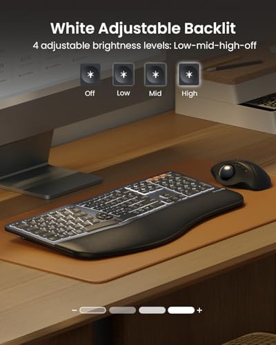 ProtoArc EK01 Plus Backlit Ergonomic Keyboard with EC200 Ergonomic Chair