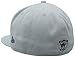 NFL Oakland Raiders Historic Logo 59Fifty Fitted Cap