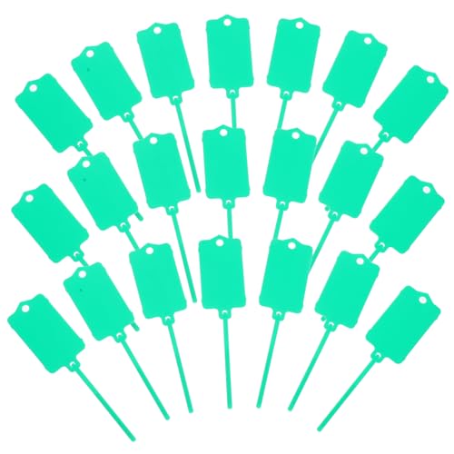 COHEALI Large Key Tags 100pcs Plastic Tote Labels Cable Ties Tags Wire for Inventory
