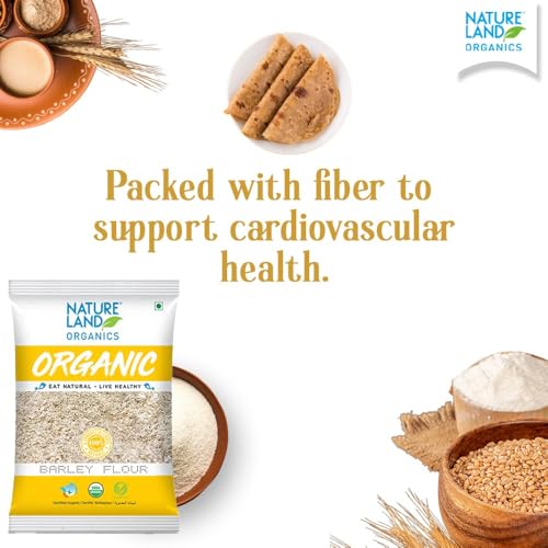 Image of NATURELAND ORGANICS Barley Flour /Jau Flour 500 Gm (Pack of 15) - Healthy Organic Flour