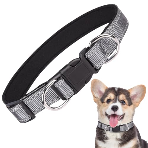 Collar para perro ajustable Soft Padded Nylon Gris S