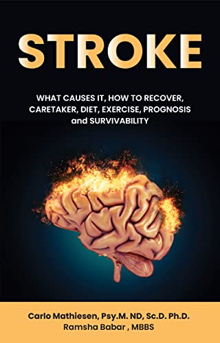 STROKE: WHAT CAUSES IT, HOW TO RECOVER, CARETAKER, DIET, EXERCISE...
