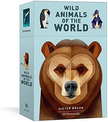 Wild Animals of the World: 50 Postcards