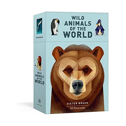 Wild Animals of the World: 50 Postcards Cover