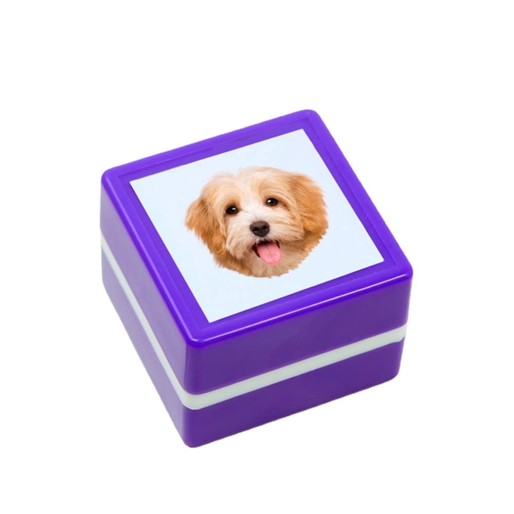 Custom Cat Portrait Ink Stamp, Personalized pet Dog Portrait Stamp, Gift for cat Lover,Pet Stamp, Pet Gift (Purple,37 * 37 * 27 mm)