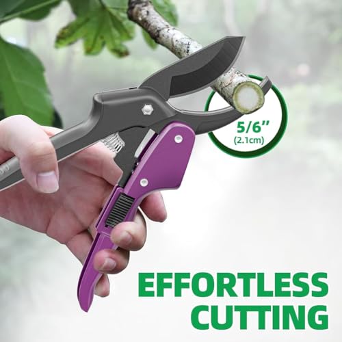 Image of HASTHIP SK5 Gardening Scissors - 20CM Garden Pruning Shears - 5 /6'' Bypass Hand Pruner Pruning Shears - Gardening Tools Suitable for Garde Plants, Shrubs, Flowers, Fruit Tree with Slider Safety Lock