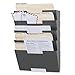 Wallniture Lisbon Wall Mount Steel Vertical File Organizer Holder Rack 5 Sectional Modular Design Multi-Purpose Organize Display Magazines Sort Files and Folders (Gray)
