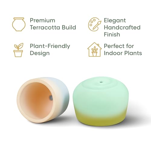 Image of Urban Plant Terracotta Pot - Trendy Planter for Modern Home & Garden Spaces (Terracotta Bliss - Set of 2)