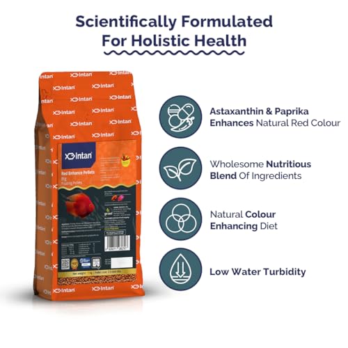 Image of Intan Red Enhance Pellets (Big 2.5mm Floating) | 1Kg - Highly Nutritious Ornamental Fish Food for Parrotfish & Red Coloured Fish | Growel Feeds