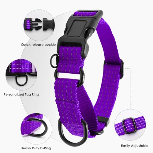 Image of Martingale Dog Collar, Reflective No Pull with Buckle,Purple, XS | Escape Proof without choking ,Training Collar with Quick Release Buckle, Adjustable Heavy Duty Nylon collars for S M L Dogs