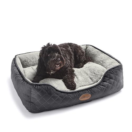 Can You Put Dog Beds in the Washing Machine? Tips and Guidelines