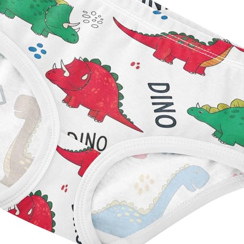 Fancy Toddlers Underwear Floral 2t Cotton Cute Panties Girl Colorful Cartoon Dinosaurs White Kids Undies Briefs4