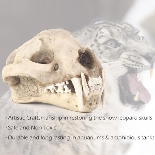 Image of Aquarium Decor Cave Decorations Fish Hideout Betta Tarantula Reptile Snake for Terrarium Ornament Dinosaur Animal Skull Large Bones Halloween