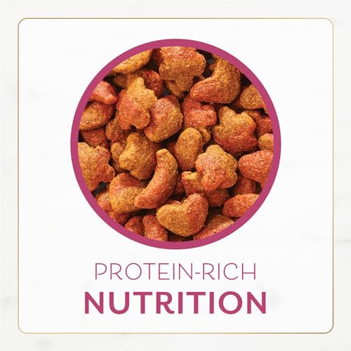 Fancy Feast Purina Filet Mignon Flavor with Real Seafood & Shrimp Dry Cat Food, 16 OZ (Pack of 3) - image 7
