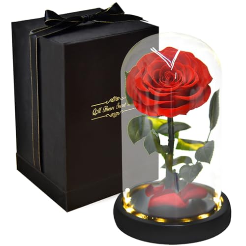 Hemobllo Cúpula de Flores Preservadas Roja Hecha a Mano Cadena de Luces, Obsequio Romántico para Mujer en Cumpleaños y Día de San Valentín