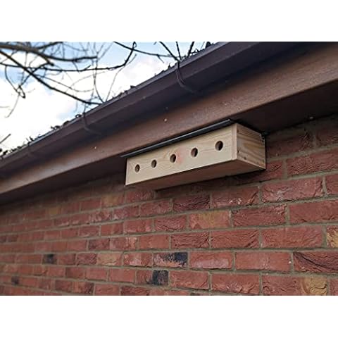 Sparrow Colony Nesting Box with Slate Roof Cover