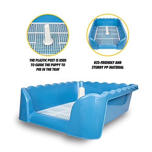 Image of Lutema Indoor /Outdoor Training Dog Potty Tray for Small and Medium Puppies Litter Boxes in (Blue)