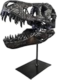 JOTNBOBO Dinosaur Skull Statue,Dinosaur Sculptures Bracket Tyrannosaurus Skull Replica Decoration Skull Bones Resin Replica with Bracket for Home Office Decor Shelf Display, Black