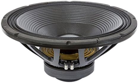 21-in Extended LF Ferrite Audio Transduc