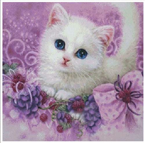 Peinture au diamant chaton décoration maison salon kit complet