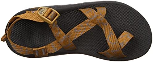 Chaco Men's Zcloud 2 Sandal, Aerial Bronze, 11 | Image 4