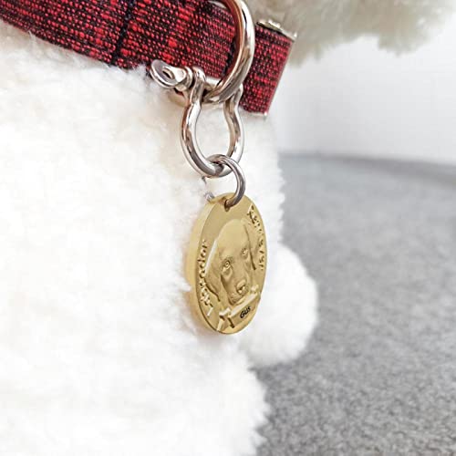 Personalizzato 3D Modello di Cane Targhetta