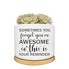 Sometimes You Forget Awesome