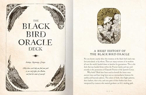 The Black Bird Oracle Deck: A 52-Card Deck and Guidebook – vue 7