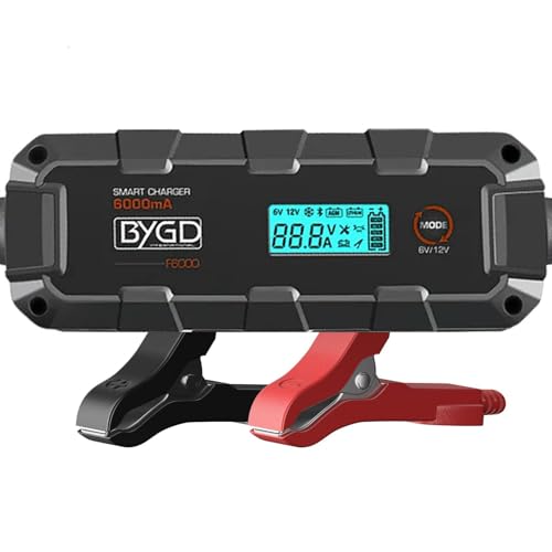 Safety Battery Charger - 6V/12V Car Battery Tender & Maintainer with Recondition Mode and Six-Fold Safety Protection for Lead-Acid & Lithium Batteries