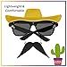 Sun-Staches Cinco de Mayo Fiesta Sunglasses with Mustache | Party Attire | One Size Fits Most