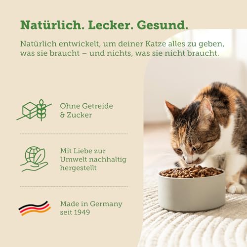 MERA Cats Nature Lachs Premium Katzenfutter Trocken 2kg | Getreidefrei & zuckerfrei | Adult Katzen Trockenfutter hoher Fleischanteil | Dry Cat Food