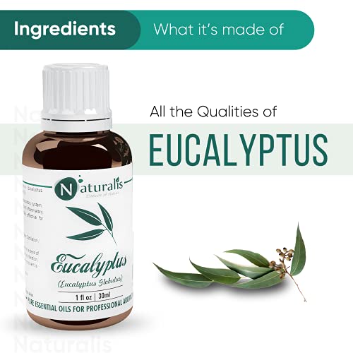 Image of Naturalis Essential Oil Gift Pack of 2-30ml (Cedarwood Oil, Eucalyptus Oil)