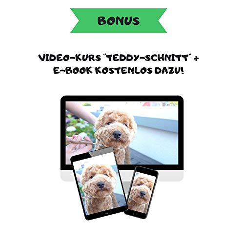 Moki Bär Softbürste Hundebürste Pudel mit Schutznoppen für besonders empfindliche Tiere I Ideal für Nicht haarende Hunde I Small