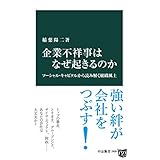 企業不祥事はなぜ起きるのか　ソーシャル・キャピタルから読み解く組織風土 (中公新書)