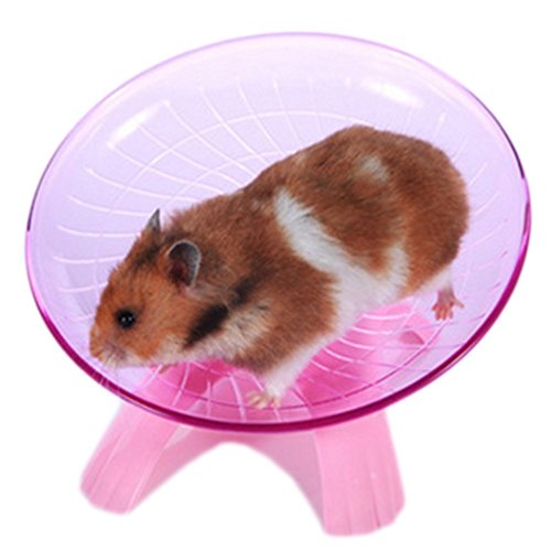 Oyfel. Roue silencieuse pour Cage RodyLounge Rouge Cerise Silent Wheel diamètre Hamsters gerbilles Roue d'exercice Plastique Souris Hamsters Nains Roue d'exercice Silencieuse pour Hamster Jouets