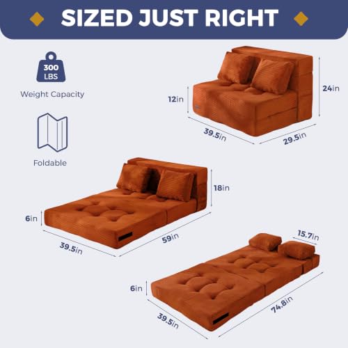 Image of MAXYOYO Convertible Sofa Bed, Fold Out Sofa Couch with Pillow for Adults